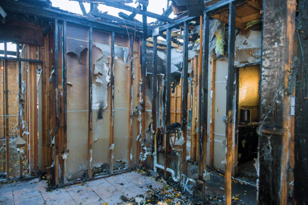 Professional Smoke Damage Removal technician working in Osceola, WI